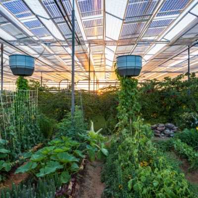 AgroSolar Canopy: Das symbiotische Gewächshaus der Zukunft